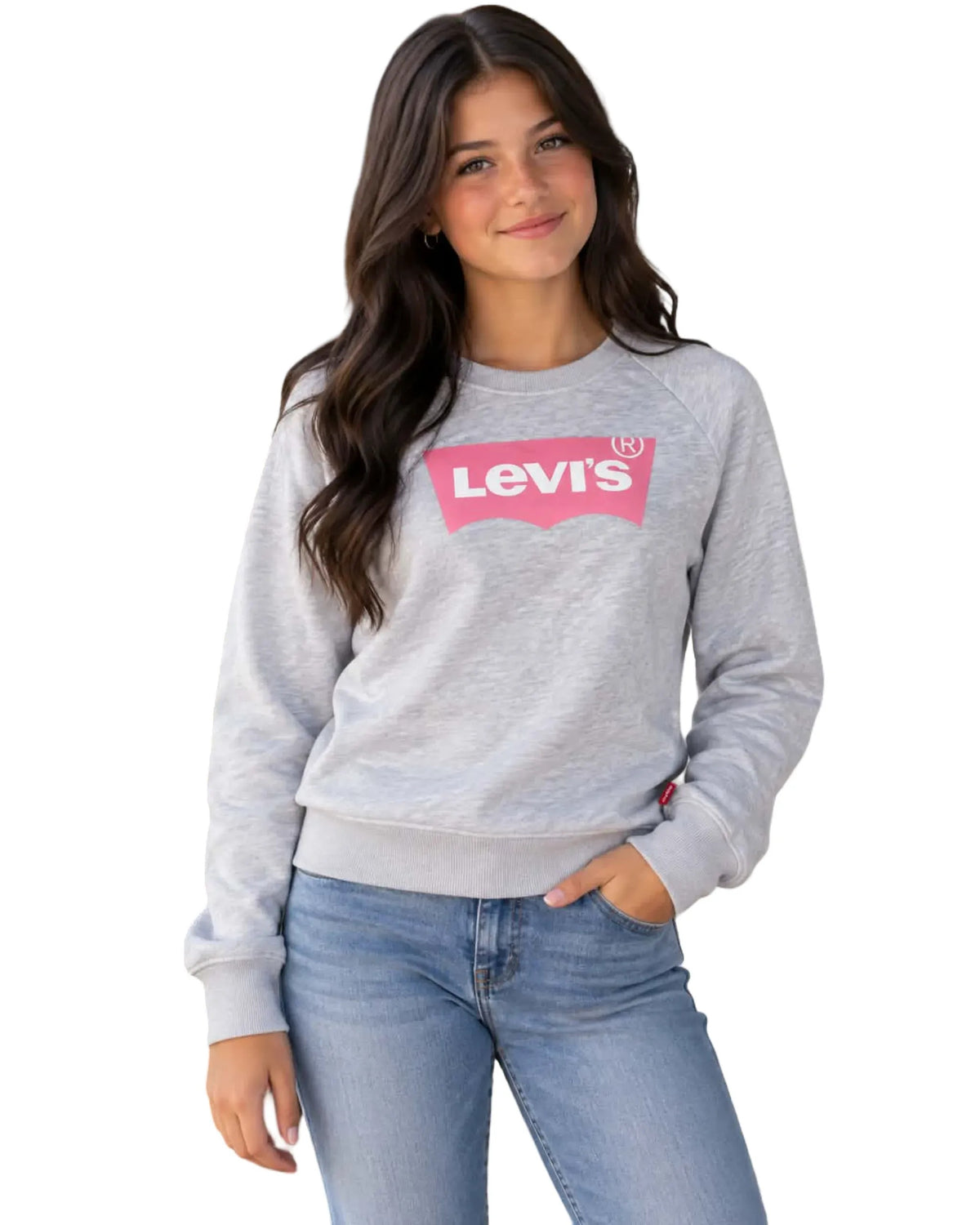 Chandail gris - Levi's